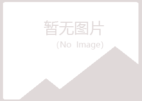 广西紫山会计有限公司